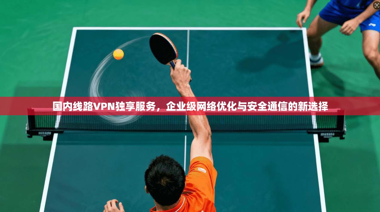 国内线路VPN独享服务，企业级网络优化与安全通信的新选择