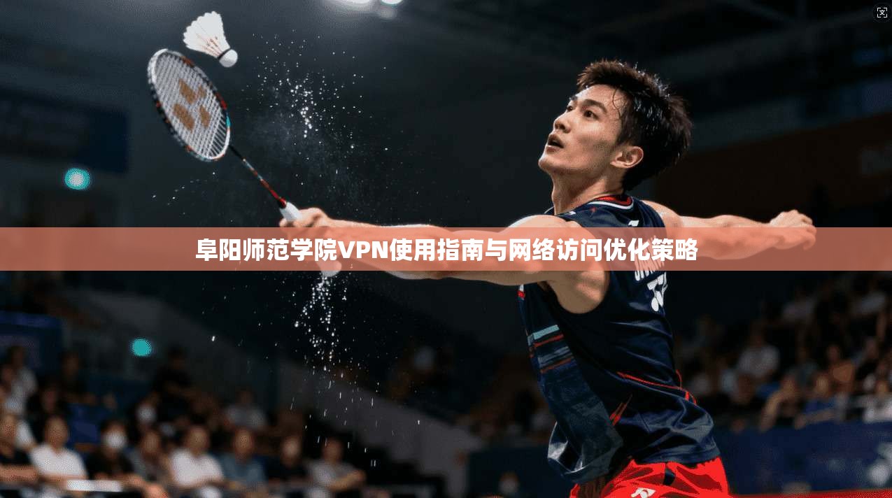 阜阳师范学院VPN使用指南与网络访问优化策略