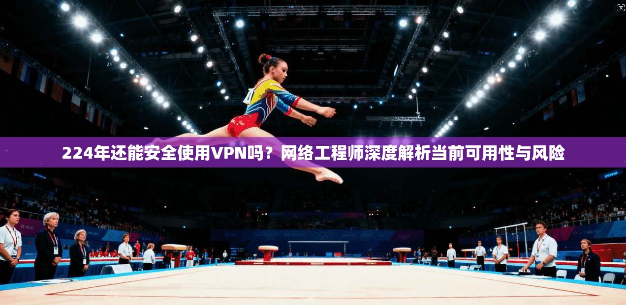 224年还能安全使用VPN吗？网络工程师深度解析当前可用性与风险
