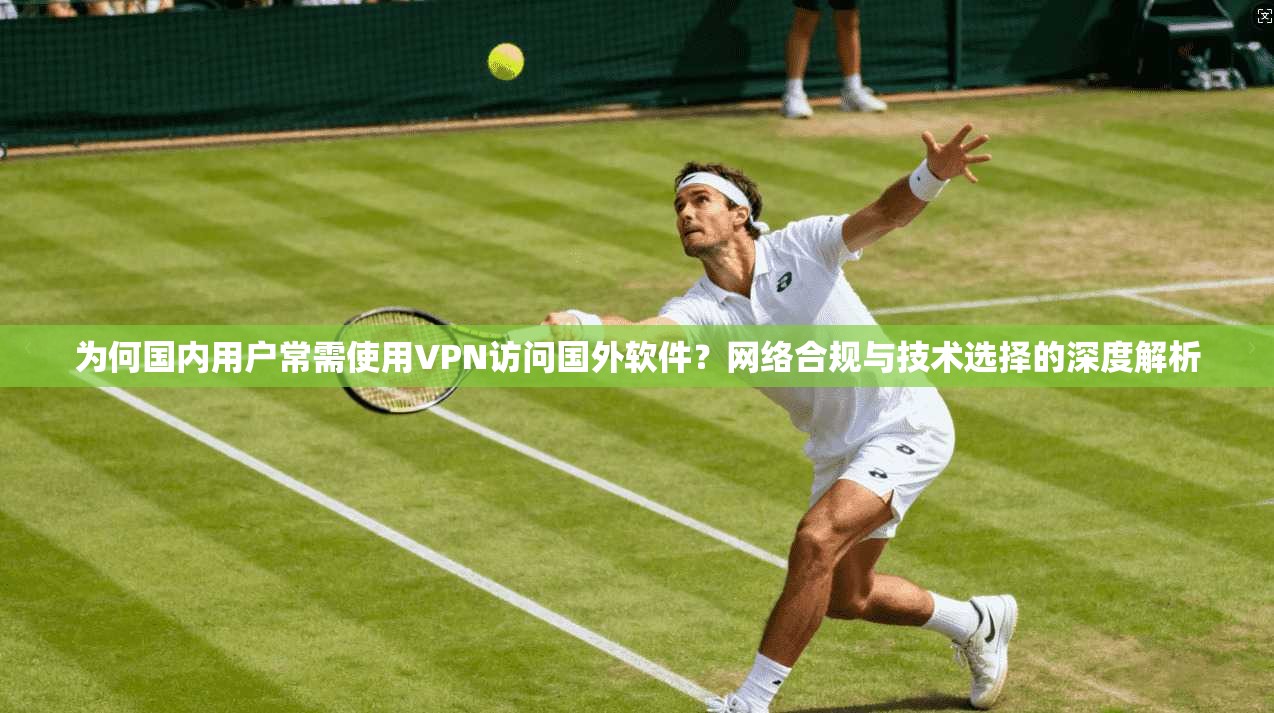 为何国内用户常需使用VPN访问国外软件？网络合规与技术选择的深度解析