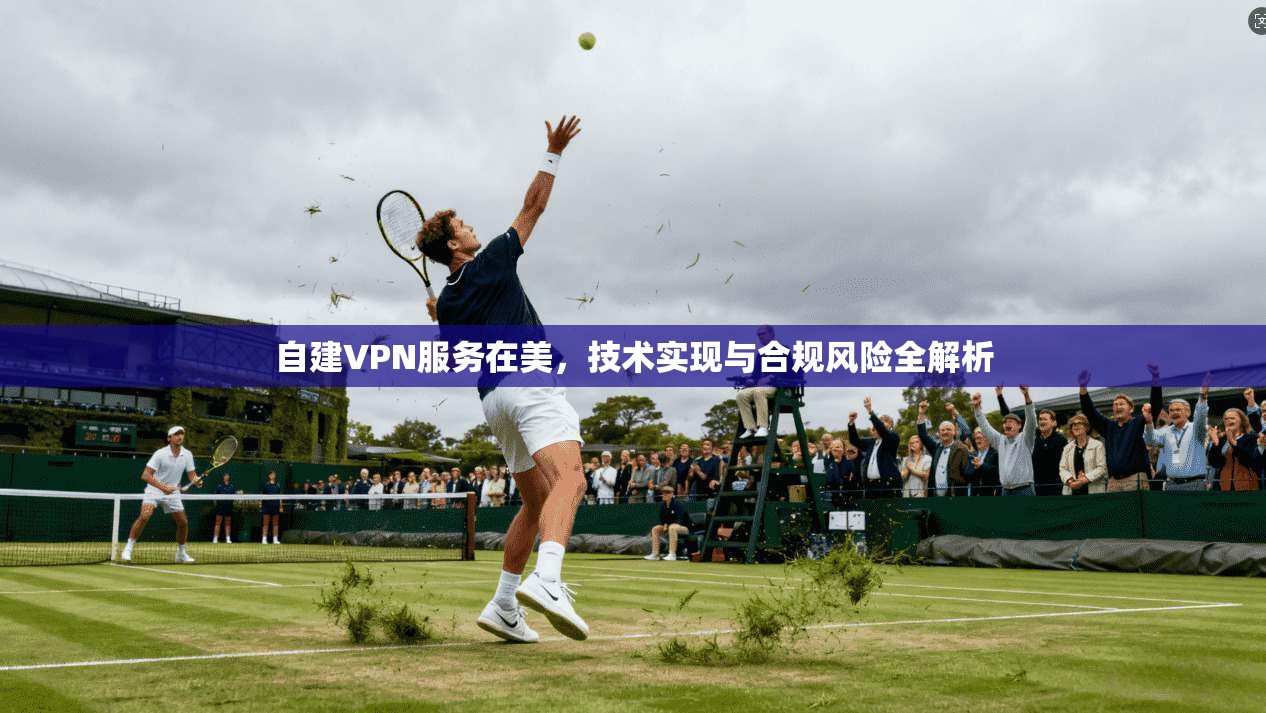 自建VPN服务在美，技术实现与合规风险全解析