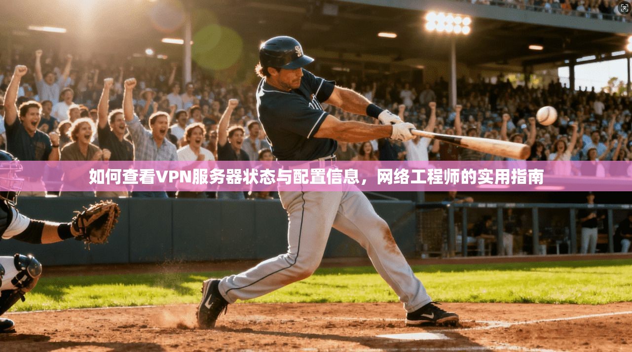 如何查看VPN服务器状态与配置信息，网络工程师的实用指南