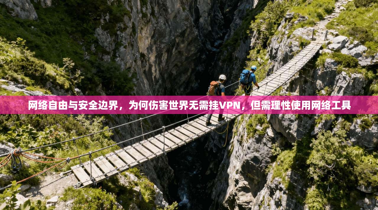 网络自由与安全边界，为何伤害世界无需挂VPN，但需理性使用网络工具