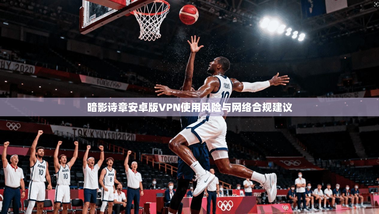 暗影诗章安卓版VPN使用风险与网络合规建议
