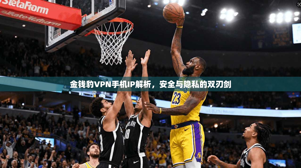 金钱豹VPN手机IP解析,安全与隐私的双刃剑 金钱豹VPN手机IP解析,安全与隐私的双刃剑