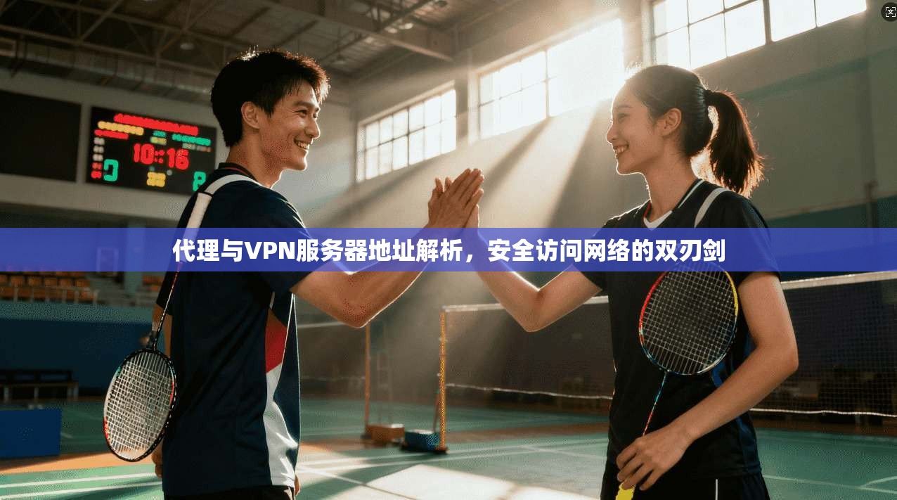 代理与VPN服务器地址解析，安全访问网络的双刃剑