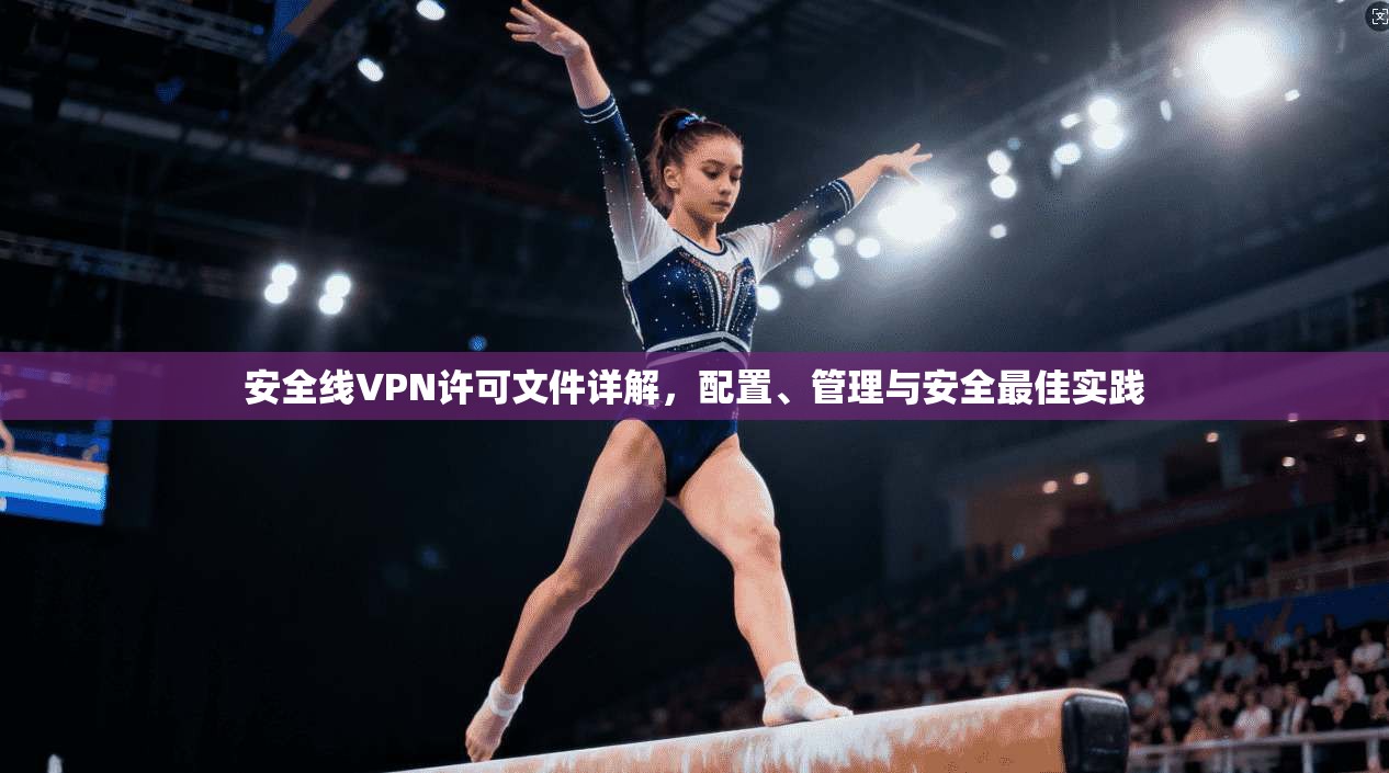 安全线VPN许可文件详解，配置、管理与安全最佳实践