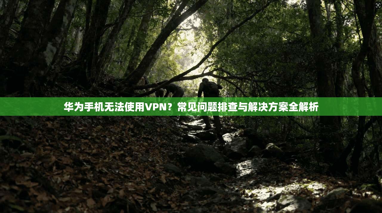 华为手机无法使用VPN？常见问题排查与解决方案全解析