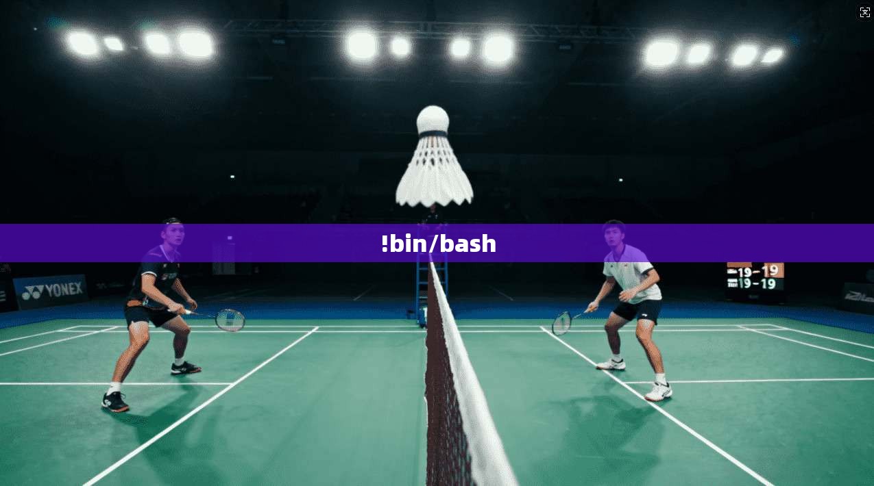 !bin/bash
