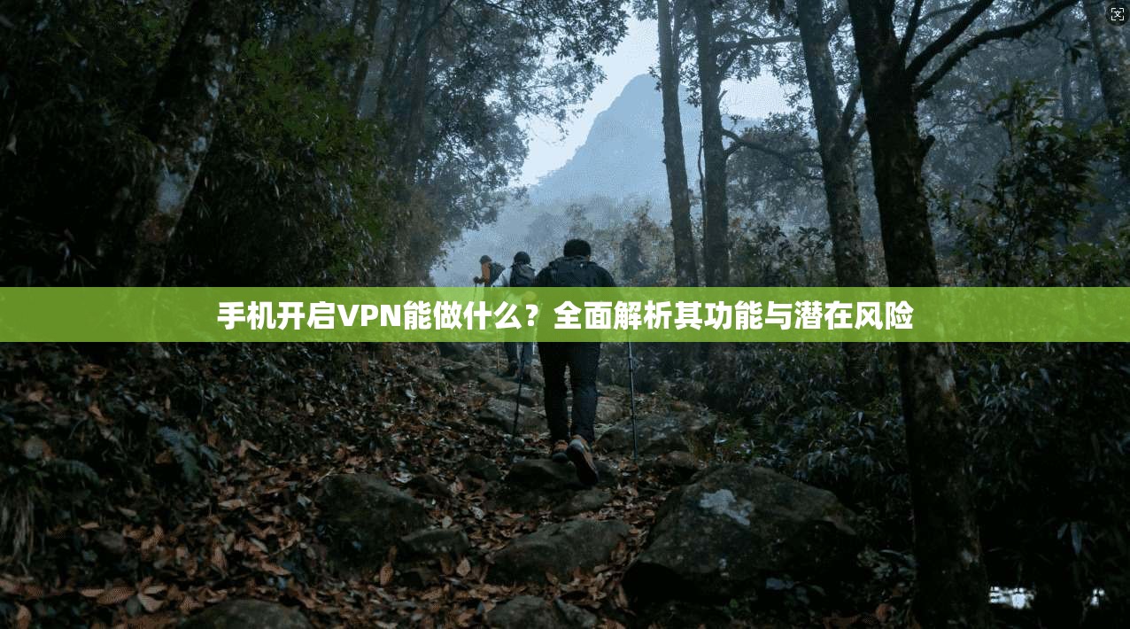 手机开启VPN能做什么？全面解析其功能与潜在风险