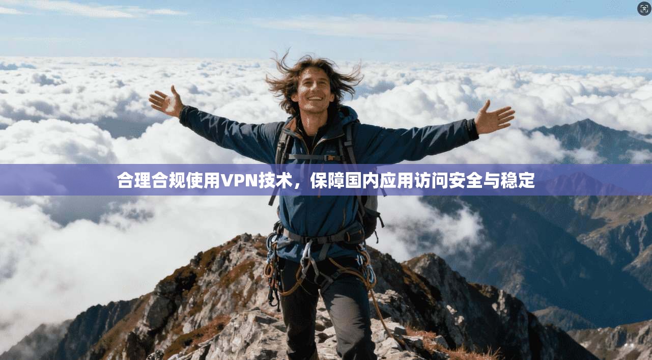 合理合规使用VPN技术,保障国内应用访问安全与稳定 合理合规使用VPN技术,保障国内应用访问安全与稳定