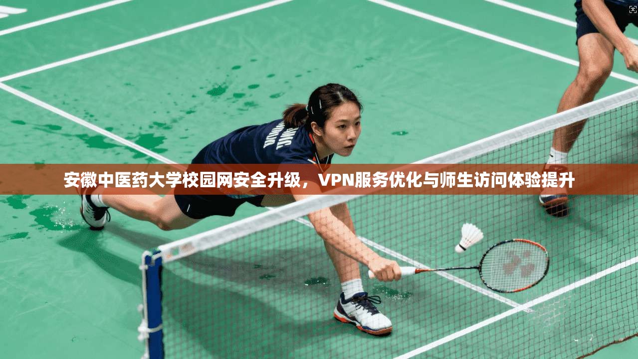 安徽中医药大学校园网安全升级，VPN服务优化与师生访问体验提升