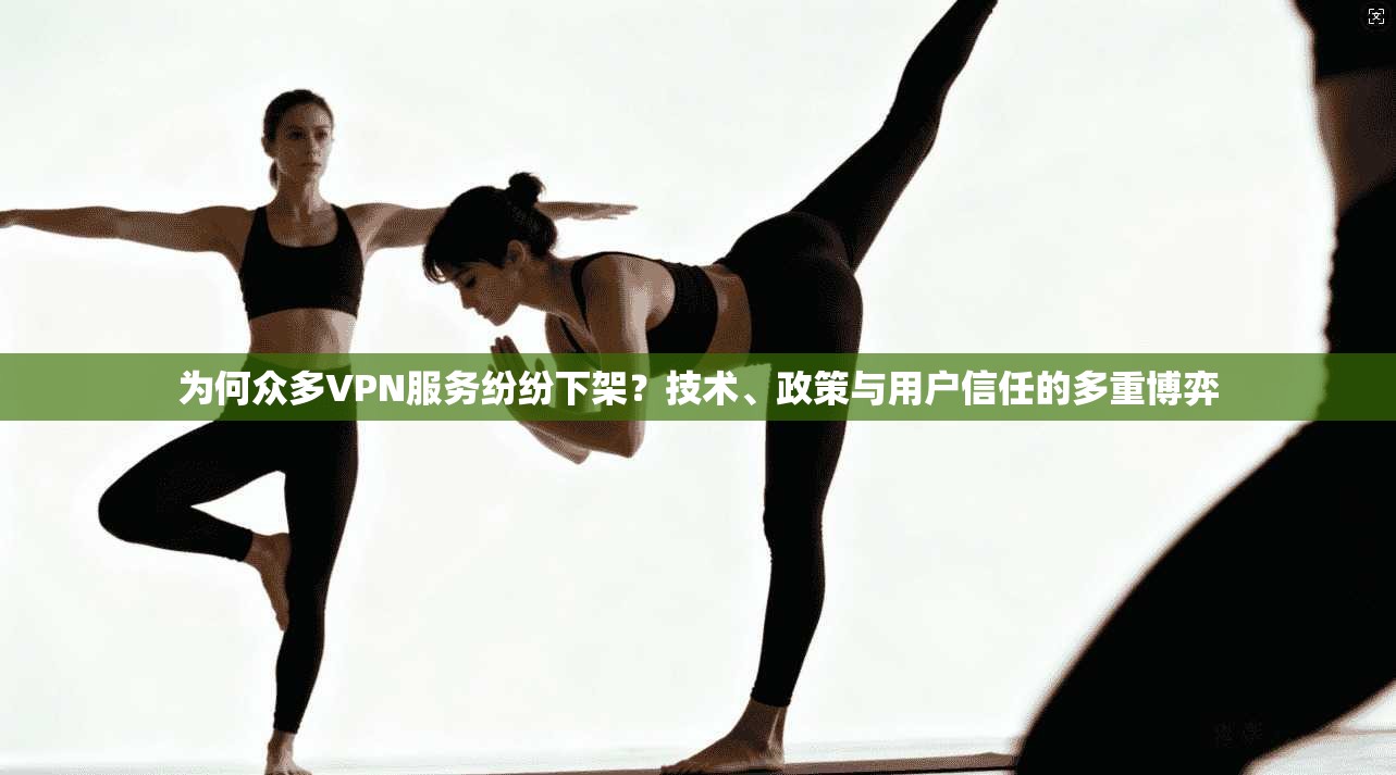 为何众多VPN服务纷纷下架？技术、政策与用户信任的多重博弈