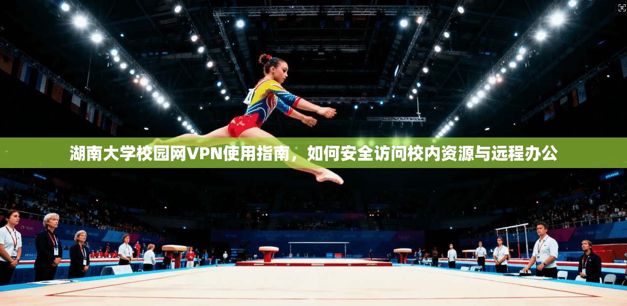 湖南大学校园网VPN使用指南，如何安全访问校内资源与远程办公