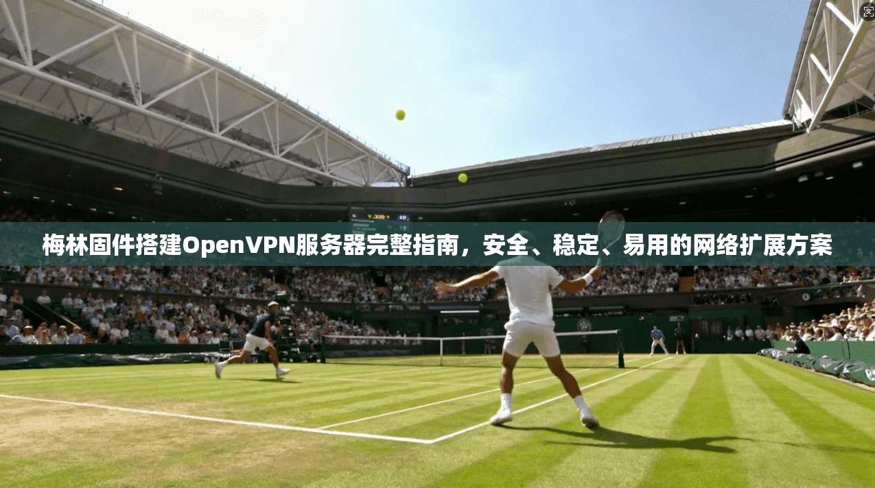 梅林固件搭建OpenVPN服务器完整指南，安全、稳定、易用的网络扩展方案