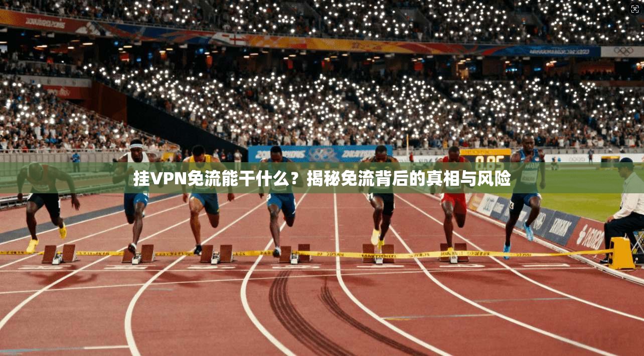 挂VPN免流能干什么？揭秘免流背后的真相与风险