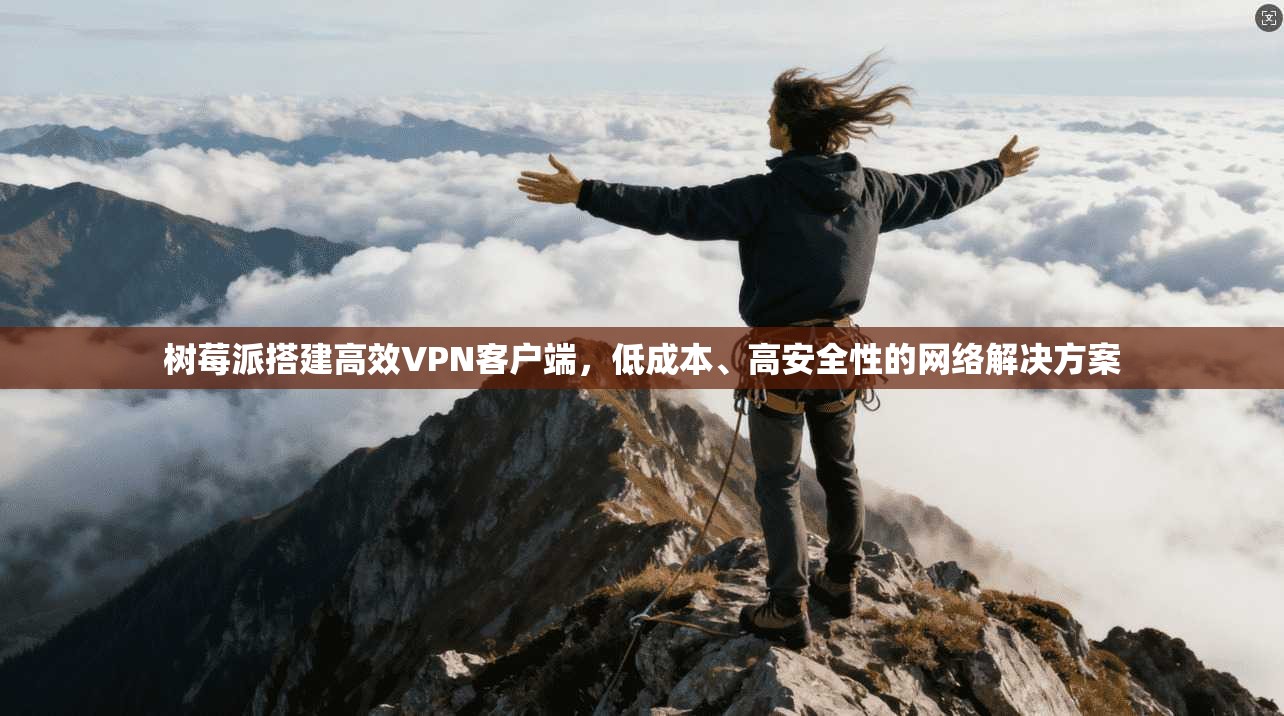 树莓派搭建高效VPN客户端，低成本、高安全性的网络解决方案