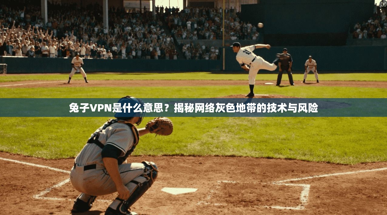 兔子VPN是什么意思？揭秘网络灰色地带的技术与风险