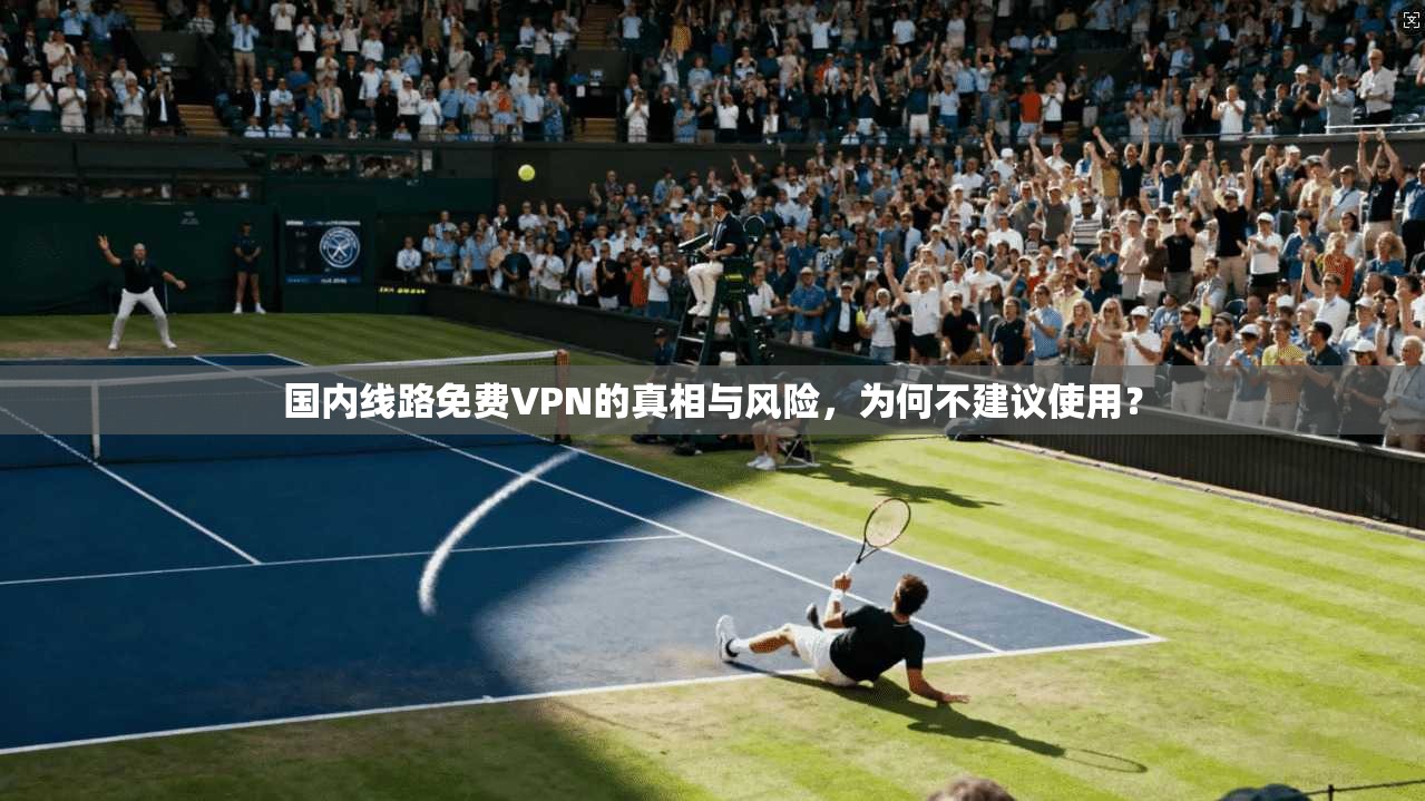 国内线路免费VPN的真相与风险，为何不建议使用？
