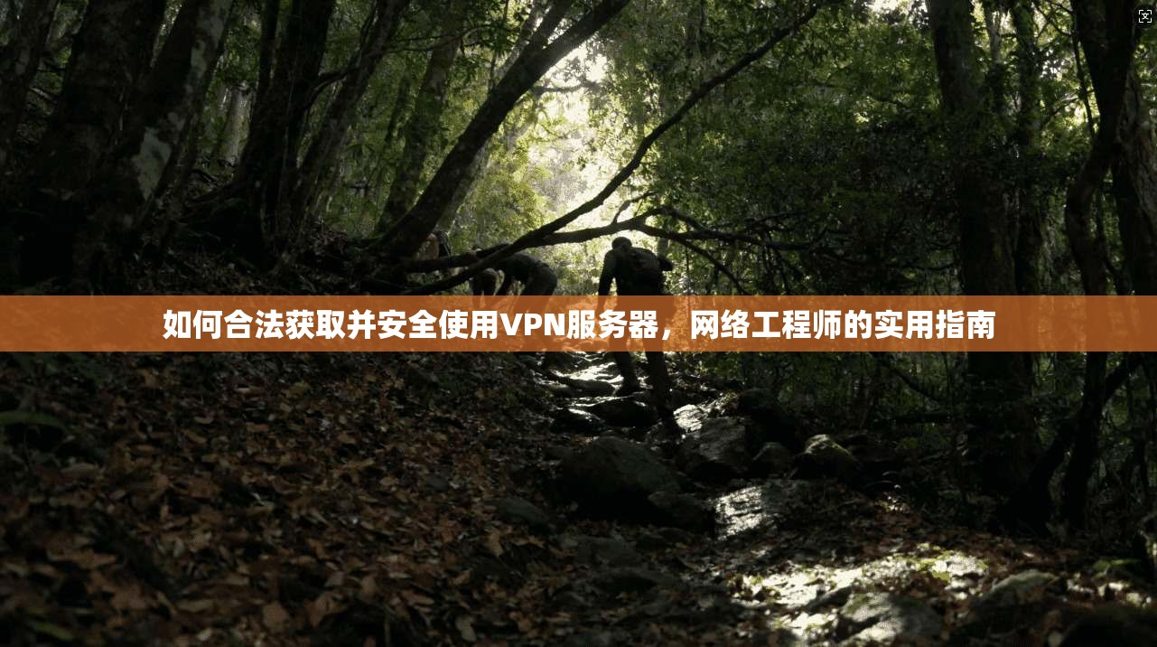 如何合法获取并安全使用VPN服务器,网络工程师的实用指南 如何合法获取并安全使用VPN服务器,网络工程师的实用指南