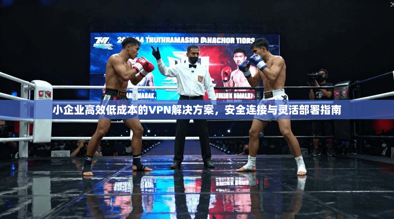 小企业高效低成本的VPN解决方案,安全连接与灵活部署指南 小企业高效低成本的VPN解决方案,安全连接与灵活部署指南