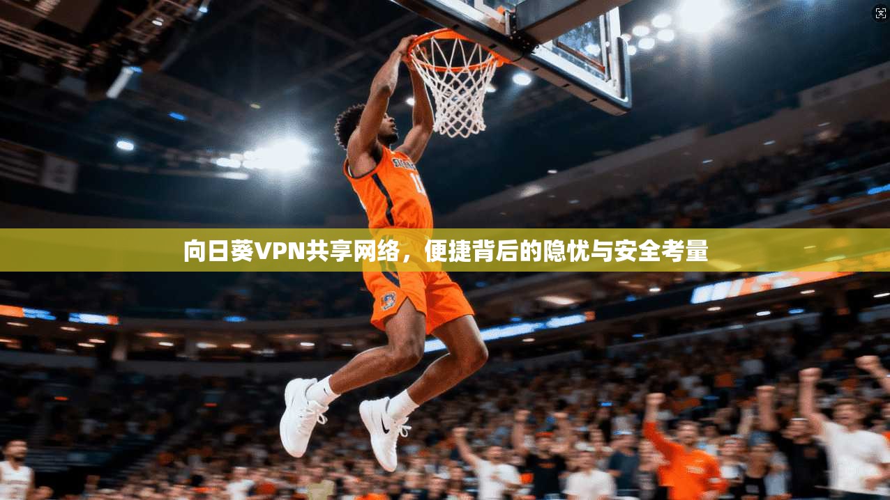 向日葵VPN共享网络，便捷背后的隐忧与安全考量