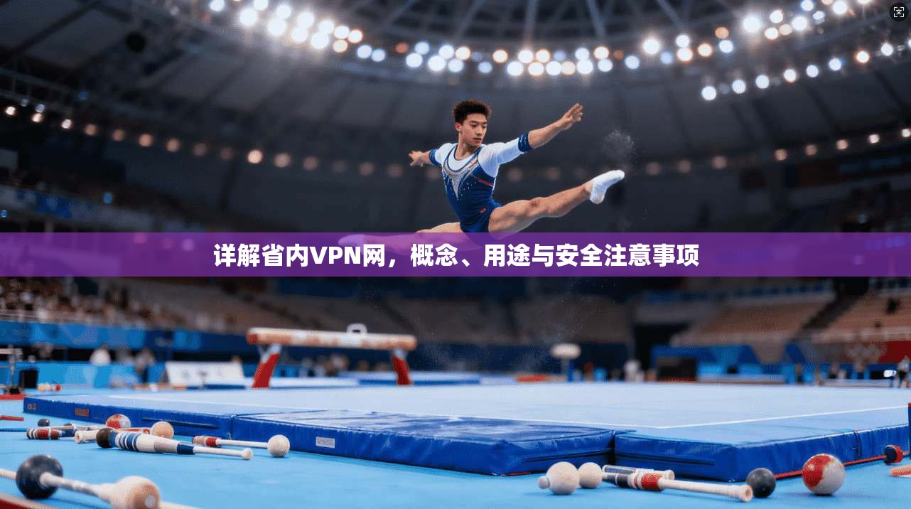 详解省内VPN网，概念、用途与安全注意事项
