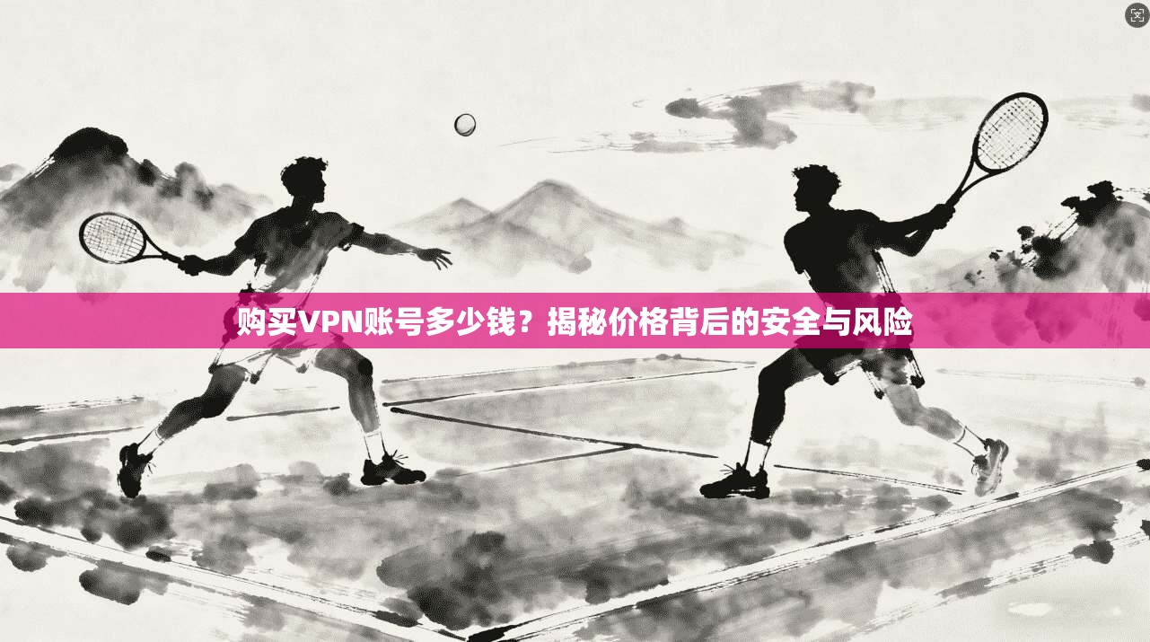 购买VPN账号多少钱？揭秘价格背后的安全与风险