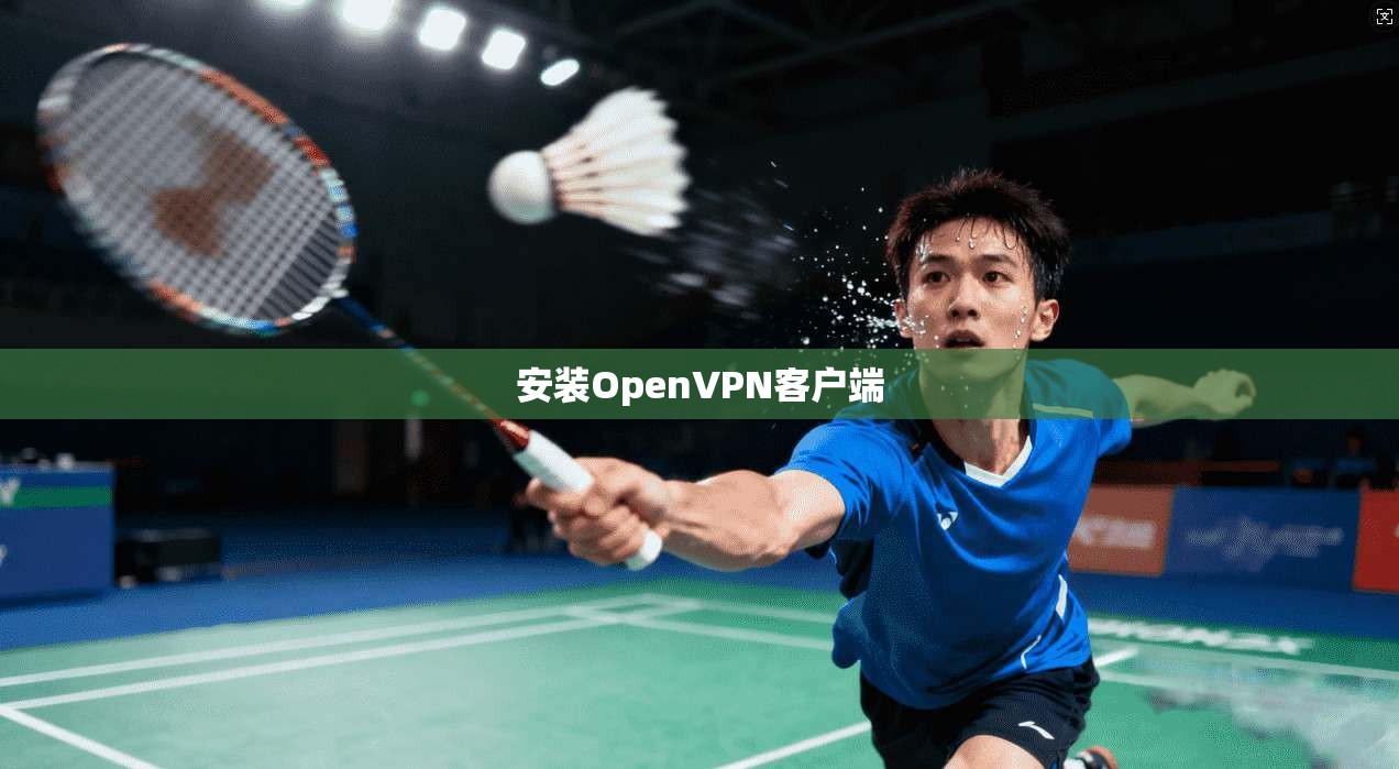 安装OpenVPN客户端
