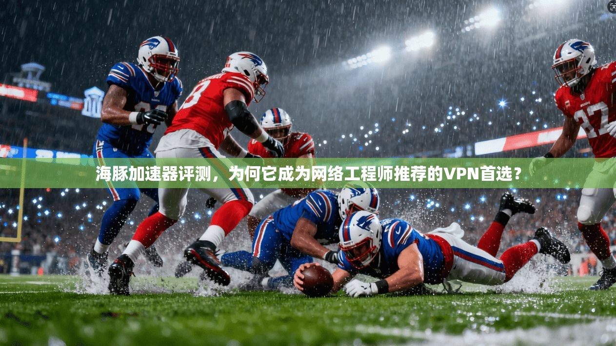 海豚加速器评测，为何它成为网络工程师推荐的VPN首选？