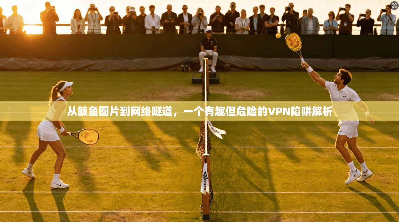 从鲸鱼图片到网络隧道,一个有趣但危险的VPN陷阱解析 从鲸鱼图片到网络隧道,一个有趣但危险的VPN陷阱解析
