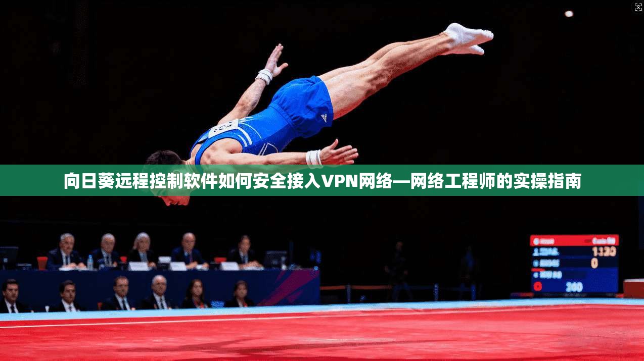 向日葵远程控制软件如何安全接入VPN网络—网络工程师的实操指南 向日葵远程控制软件如何安全接入VPN网络—网络工程师的实操指南