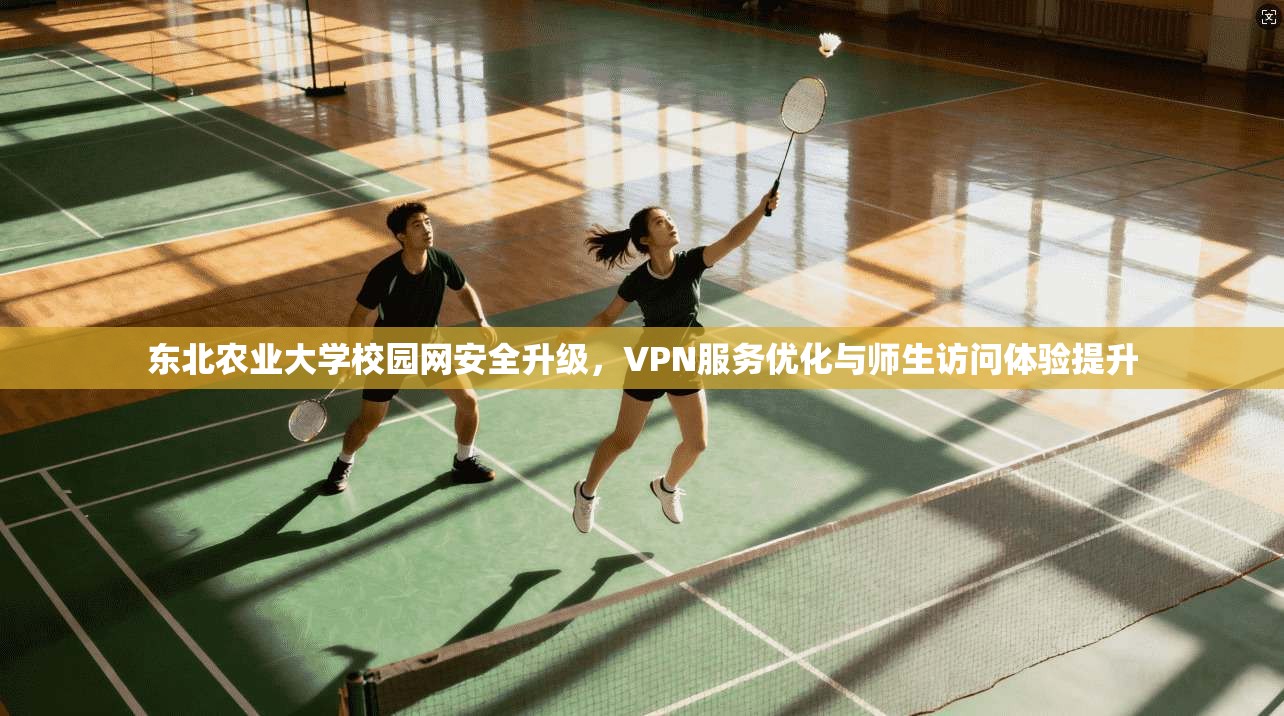 东北农业大学校园网安全升级，VPN服务优化与师生访问体验提升