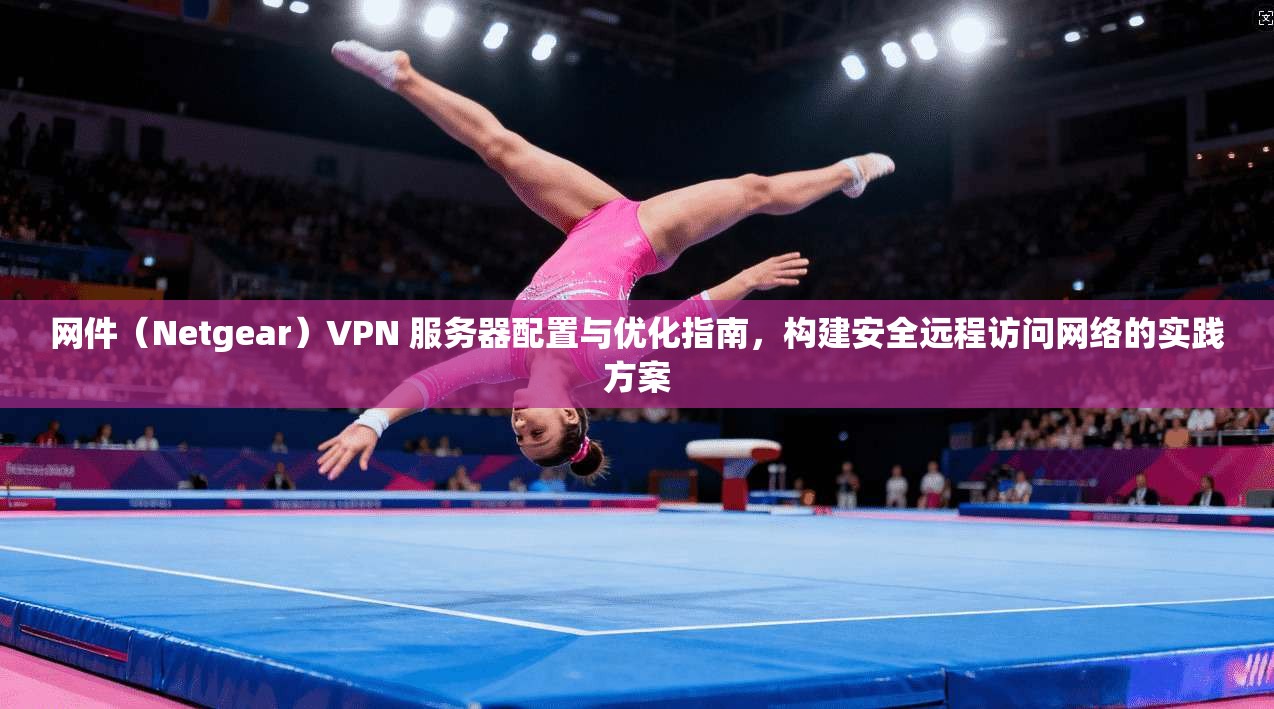 网件（Netgear）VPN 服务器配置与优化指南，构建安全远程访问网络的实践方案