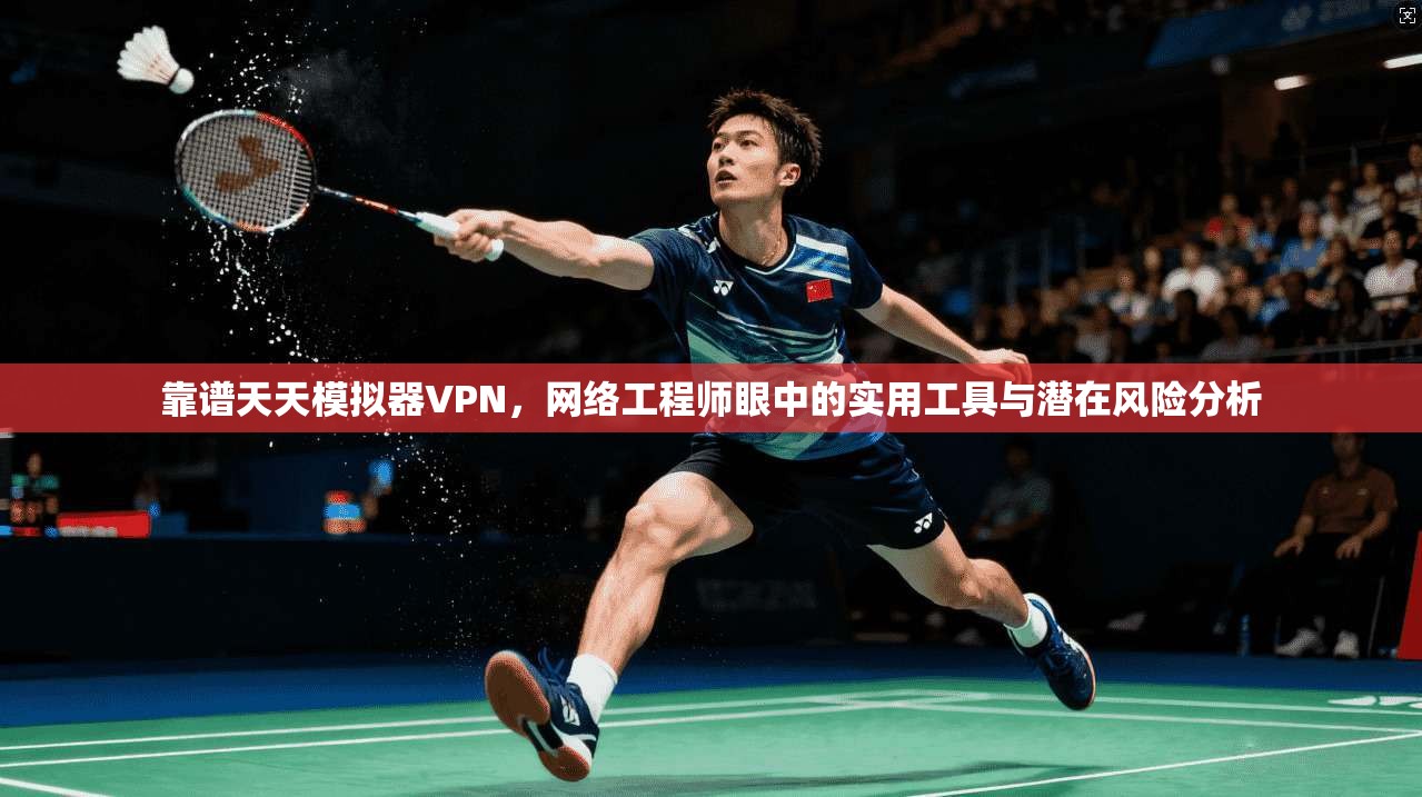 靠谱天天模拟器VPN，网络工程师眼中的实用工具与潜在风险分析