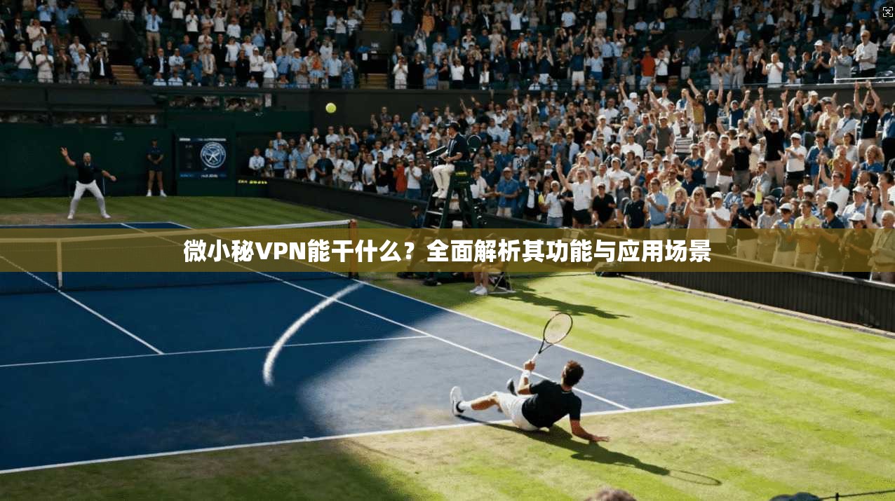 微小秘VPN能干什么？全面解析其功能与应用场景