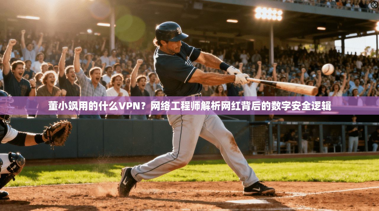 董小飒用的什么VPN?网络工程师解析网红背后的数字安全逻辑 董小飒用的什么VPN?网络工程师解析网红背后的数字安全逻辑