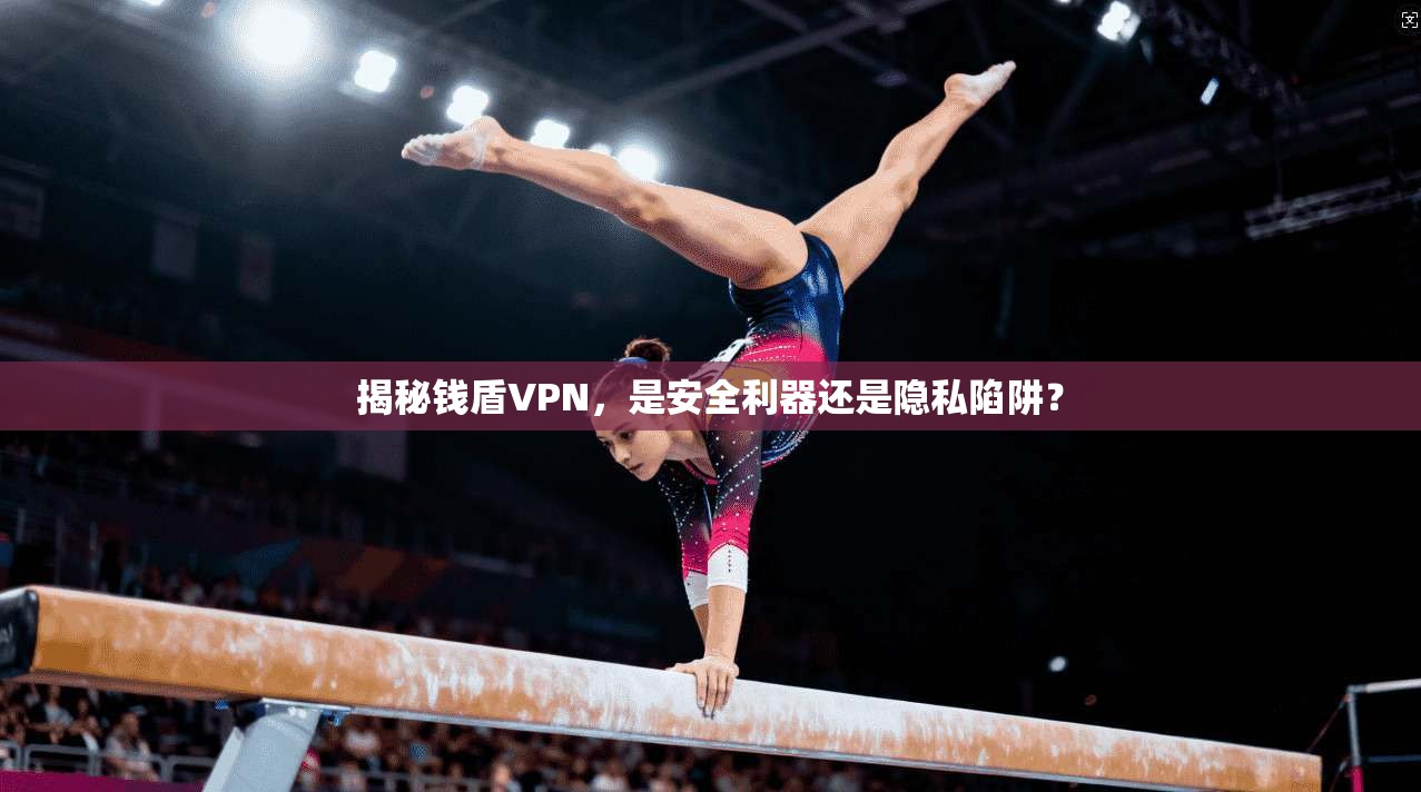 揭秘钱盾VPN，是安全利器还是隐私陷阱？