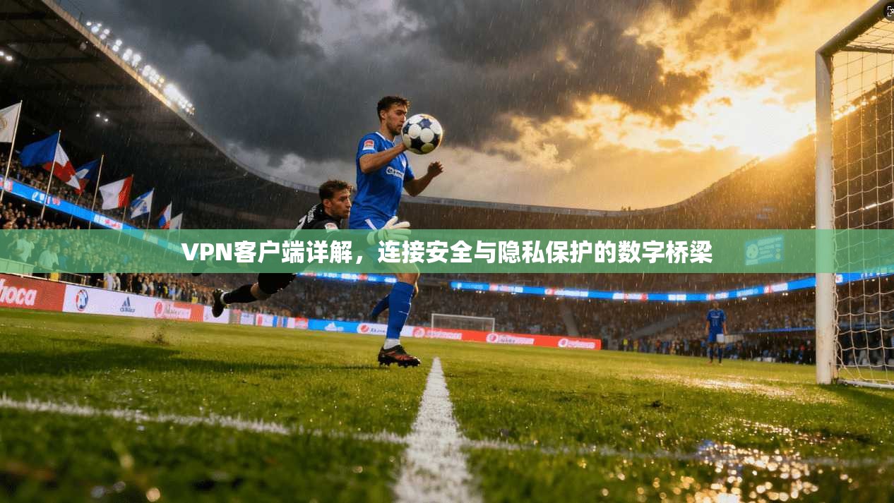 VPN客户端详解，连接安全与隐私保护的数字桥梁