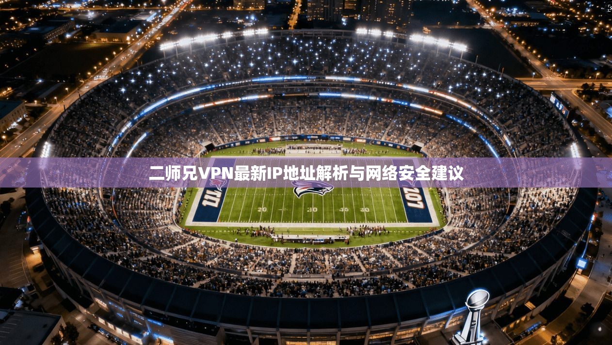 二师兄VPN最新IP地址解析与网络安全建议