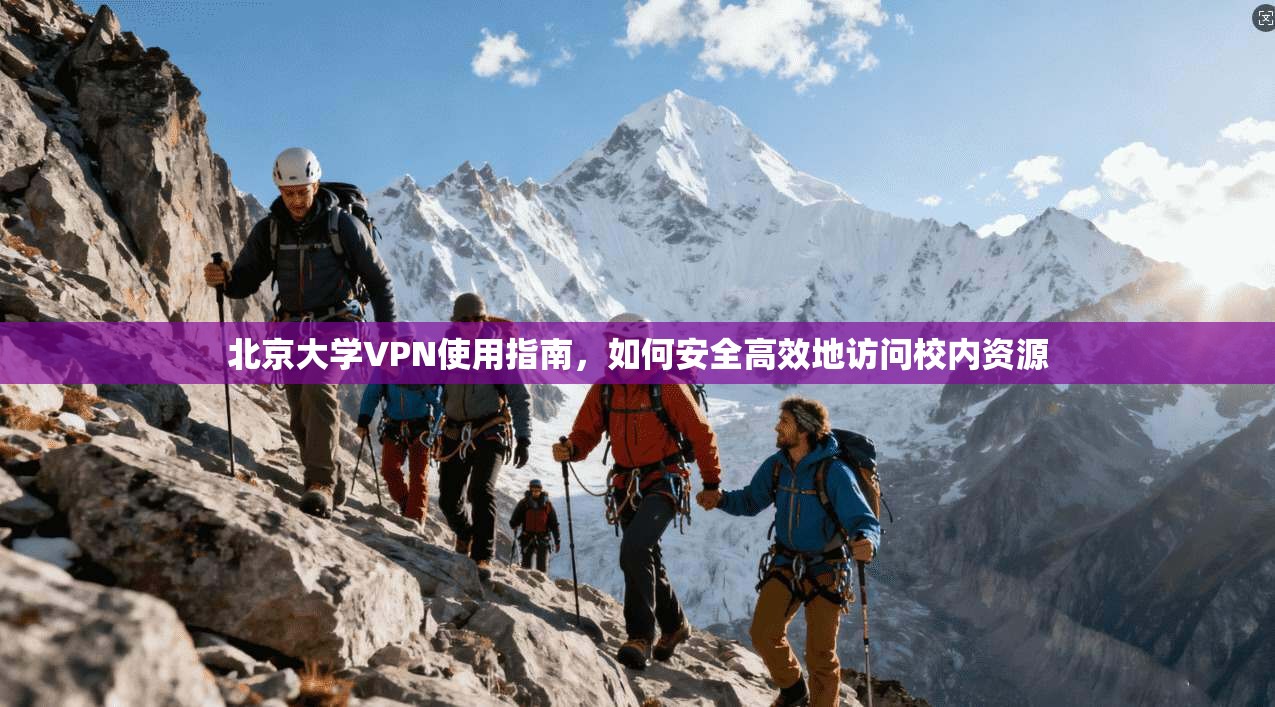 北京大学VPN使用指南,如何安全高效地访问校内资源 北京大学VPN使用指南,如何安全高效地访问校内资源