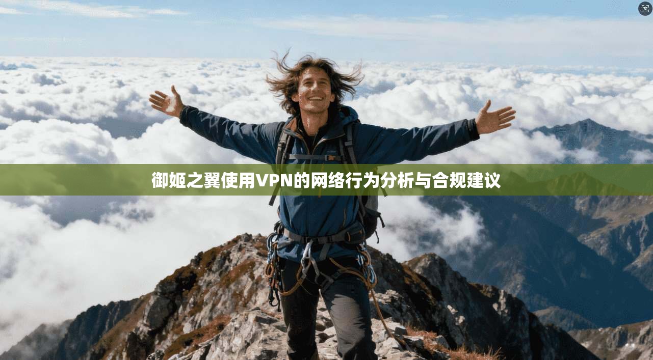 御姬之翼使用VPN的网络行为分析与合规建议