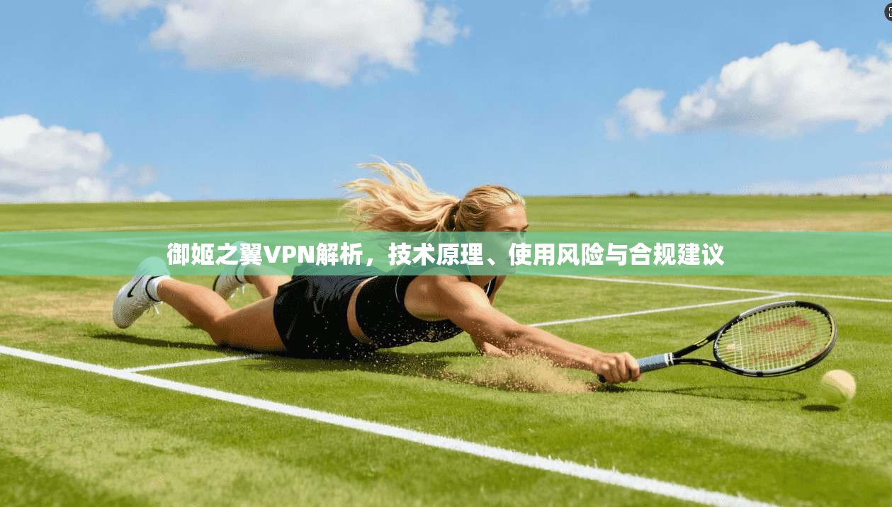 御姬之翼VPN解析,技术原理、使用风险与合规建议 御姬之翼VPN解析,技术原理、使用风险与合规建议