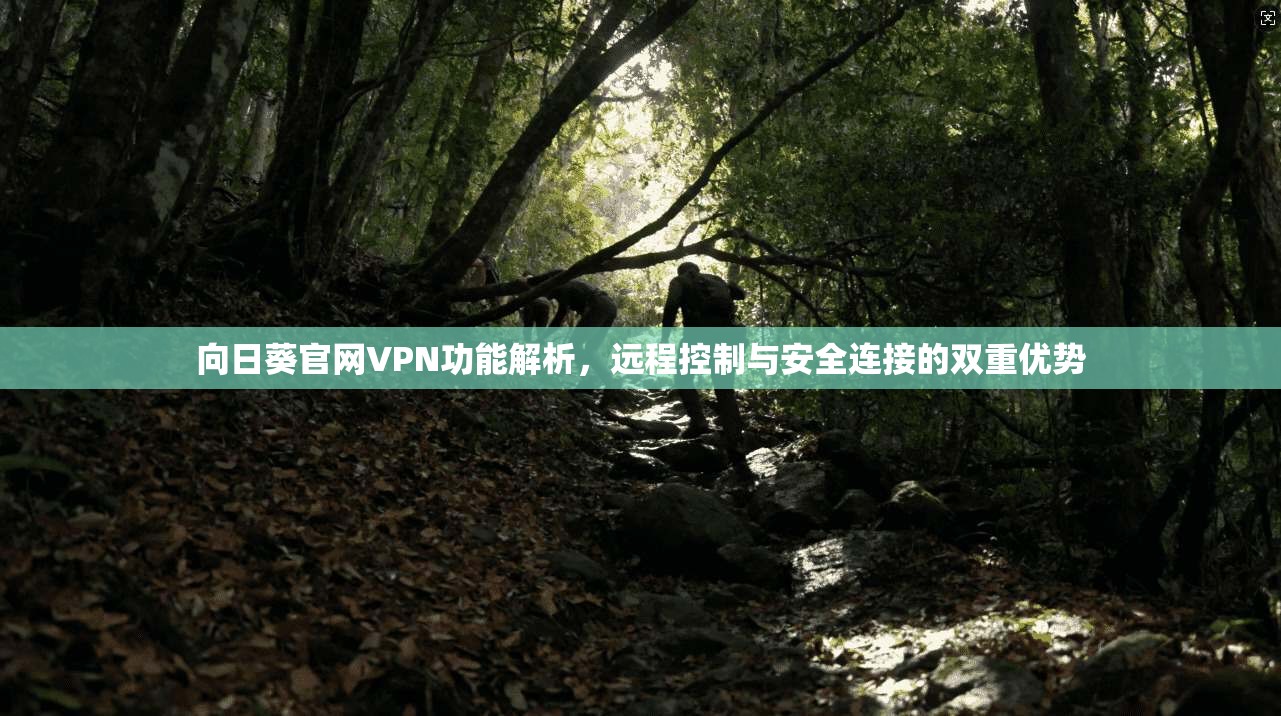 向日葵官网VPN功能解析，远程控制与安全连接的双重优势