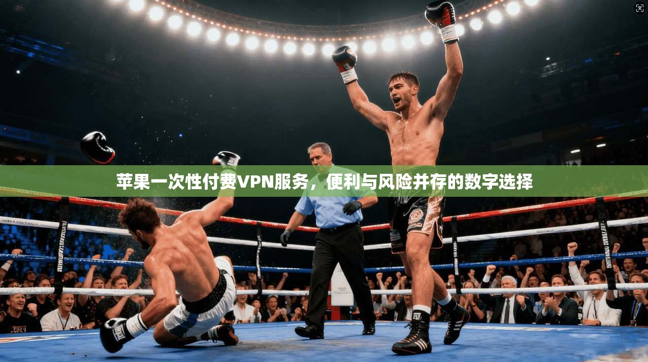 苹果一次性付费VPN服务，便利与风险并存的数字选择