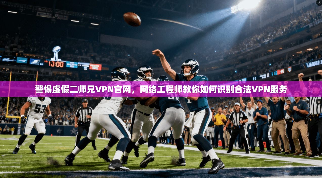 警惕虚假二师兄VPN官网，网络工程师教你如何识别合法VPN服务