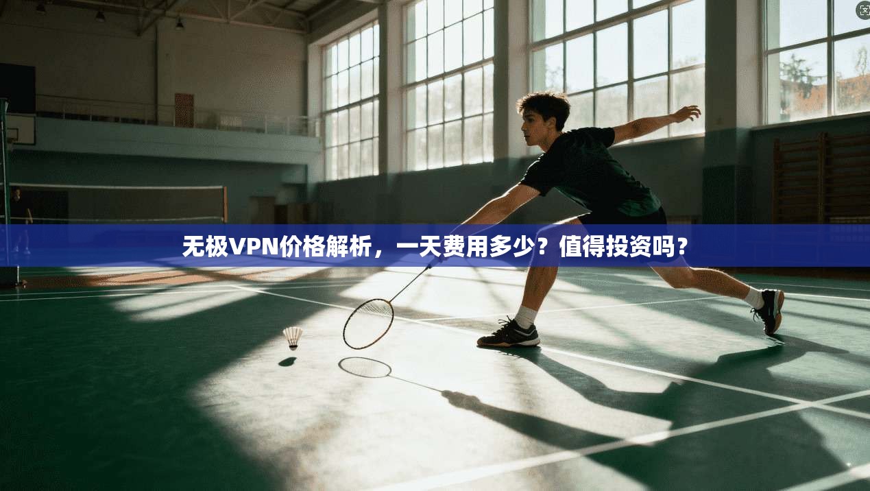 无极VPN价格解析，一天费用多少？值得投资吗？