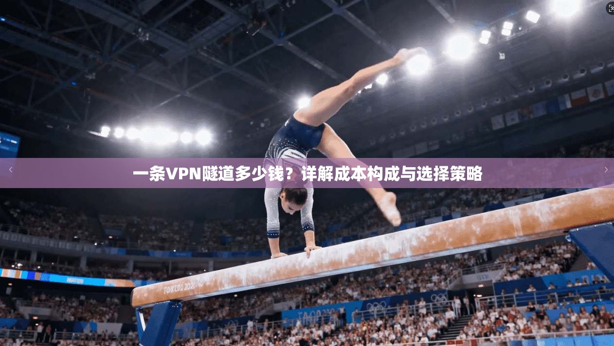 一条VPN隧道多少钱?详解成本构成与选择策略 一条VPN隧道多少钱?详解成本构成与选择策略