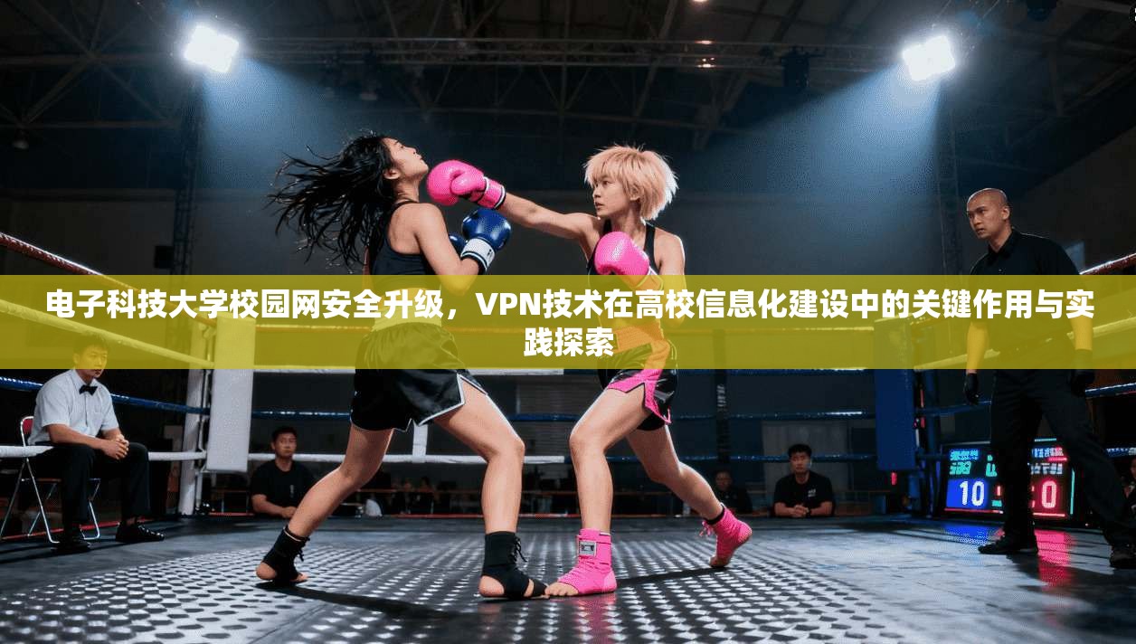 电子科技大学校园网安全升级，VPN技术在高校信息化建设中的关键作用与实践探索