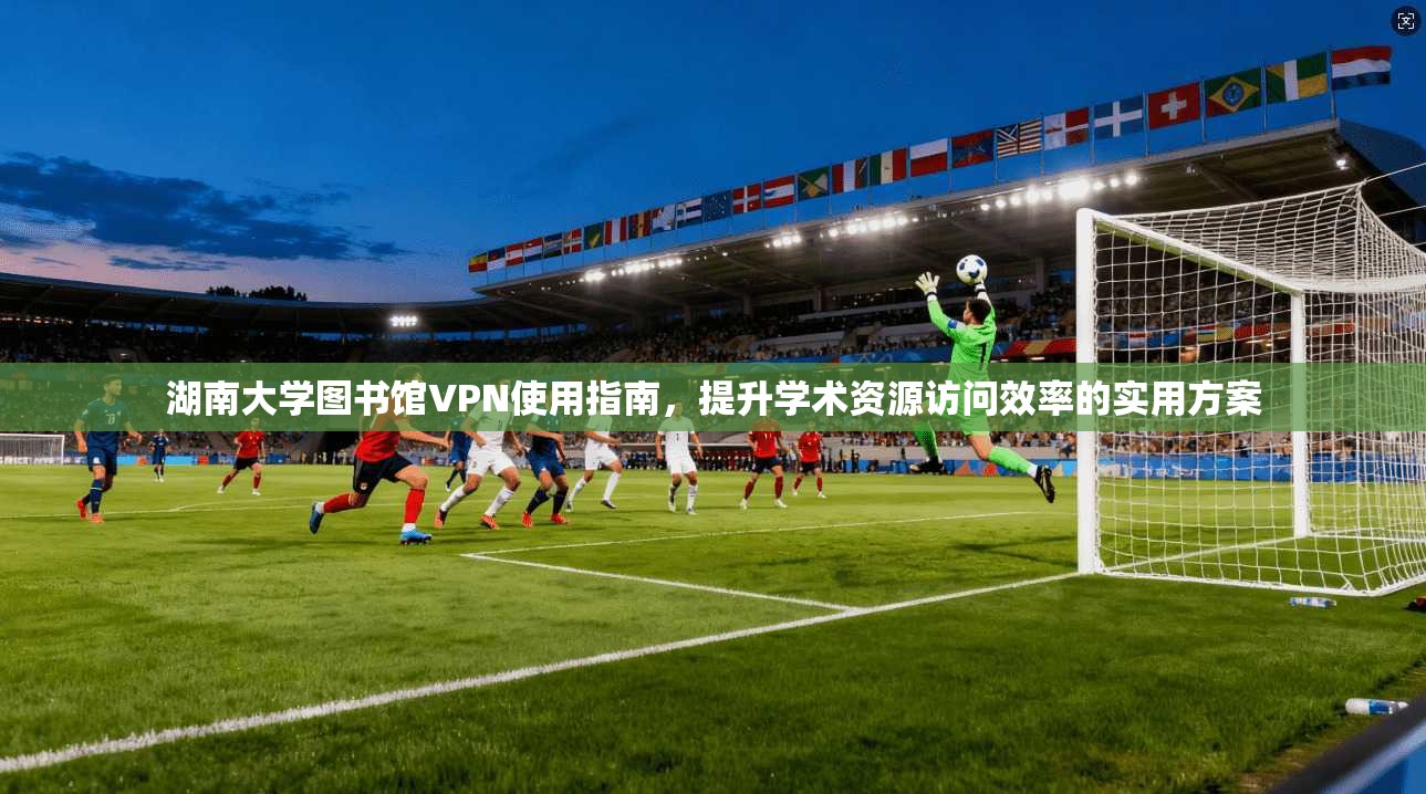 湖南大学图书馆VPN使用指南，提升学术资源访问效率的实用方案